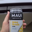 ALOHA | 미국 하와이 캔맥주 후기! Maui, Aloha beer, Sierra Nevada