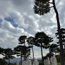 렉스필드CC노동조합 | 경기도 여주 골프장 렉스필드CC 라운드 후기