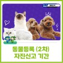 진월24동물병원 이미지