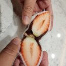 작소농장 네이버블로그