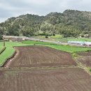 사계리-1 이미지