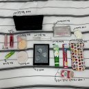친구들이 블로그에 써주었으면 하는 것들