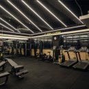 비바라짐 이미지