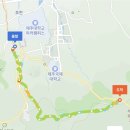 제주 봉개동 왕벚나무 자생지 | [제주]산천단~봉개동 왕벚나무 자생지