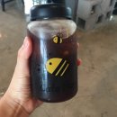 Cafe Hary 네이버블로그