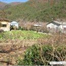 수겸농장 이미지