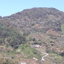 승주농원 - 옥천군 삼청2길 205 | 승주농원