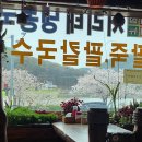물왕통나무집