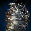 낚시배민박 이미지