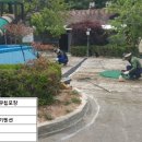 용인나무이야기