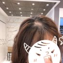 하남미용실 : 모던헤어 시세이도 두피클리닉