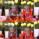 별별하우스 이미지