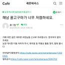 해남 꿀고구마 3kg 5천원 무배 글 올리신 육회노른자 여시 홍보의심 피드백 부탁드립니다. 이미지