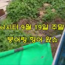 남창낚시터 이미지