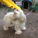 걸리버여행기 이미지