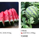 구룡약품 이미지
