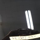 아이덴트칼라