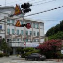 일반성면사무소 이미지