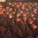 스케일이 남다른 미국 애리조나, 피닉스의 축제음식 이미지