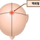 건강백세교실 이미지