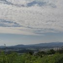 자연애공인중개사사무소 이미지