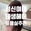 가예 | 성신여대역 염색 맛집 미용실 추천 : 데생헤어(가예 점장님, 레드브라운)
