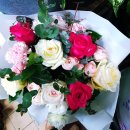 수원-0806 이미지