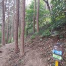 ♡1365차2026.07.04. 서구 종단 트레킹 공고♡ 이미지