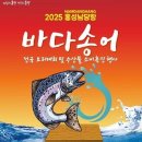 송어축제 이미지