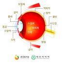 서울삼성안과 이미지