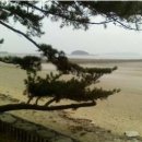 자라바위 펜션 이미지