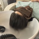 [다산미용실] 살롱루크 아베다 헤어살롱 다산점 두피관리 꿀잠 후기