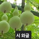 설날 / 김덕성 이미지