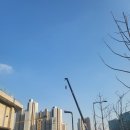 갑진약국 이미지