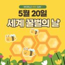 다솜:) 세계 꿀벌의 날, 꿀벌을 지켜주세요 ! 🐝 이미지