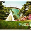 오즈스튜디오 네이버블로그