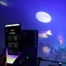 무한공간 | 속초 여행 실내 데이트 가볼만한곳 AI체험 뮤지엄엑스 내돈내산 후기