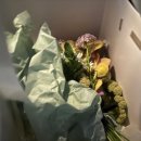 [율정]나만의 페이퍼토퍼소품 | 부케 말리기 선물 끝판왕 부케 압화 띄움 강추하는 후기