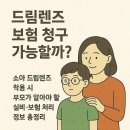 드림보험