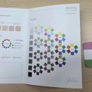 나만의 퍼스널컬러를 찾아서 이미지