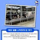 신일목장 이미지