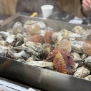 천북굴단지 이미지