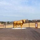 한우목장 이미지