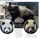 한국동물번식센타 이미지