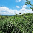 오름행정사무소 이미지