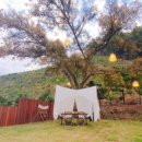 아빠의나무민박 이미지