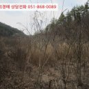 임고면-고천리-16