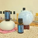 [8월 재능나눔] 함께 쓰는 그림일기 | [공지] 도테라8월소식포스티엠(미네랄)10%할인어댑티브