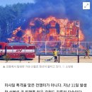 대형 산불 조장한 산림청... 의심스러운 먹이사슬 이미지