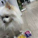 트릿츄잇 이미지